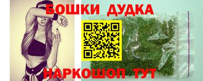 соль ск Бийск