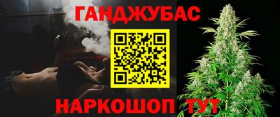 шишки Будённовск