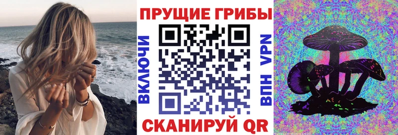 Галлюциногенные грибы GOLDEN TEACHER  Дятьково 