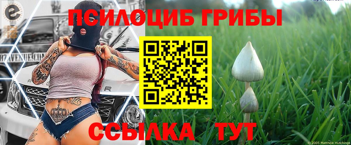 наркотики  Дятьково  Галлюциногенные грибы ЛСД 