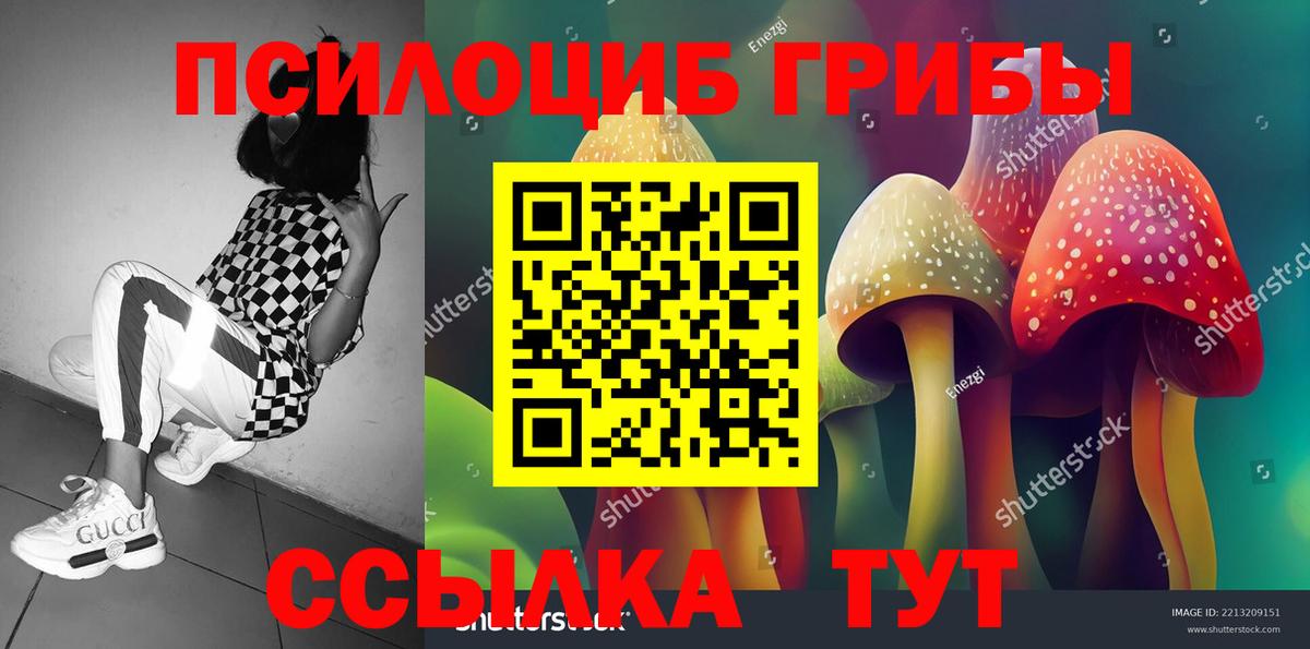 Псилоцибиновые грибы Psilocybine cubensis  Вход с VPN  Дятьково  Псилоцибиновые грибы мицелий 