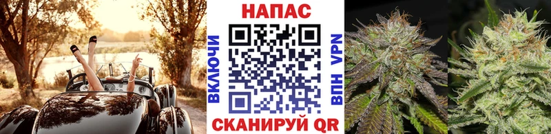 Шишки марихуана планчик Дятьково